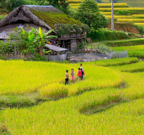 Circuit au Vietnam en octobre et novembre 